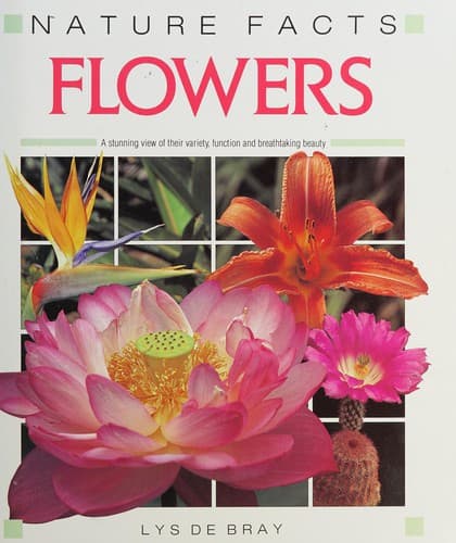 Flowers. cover