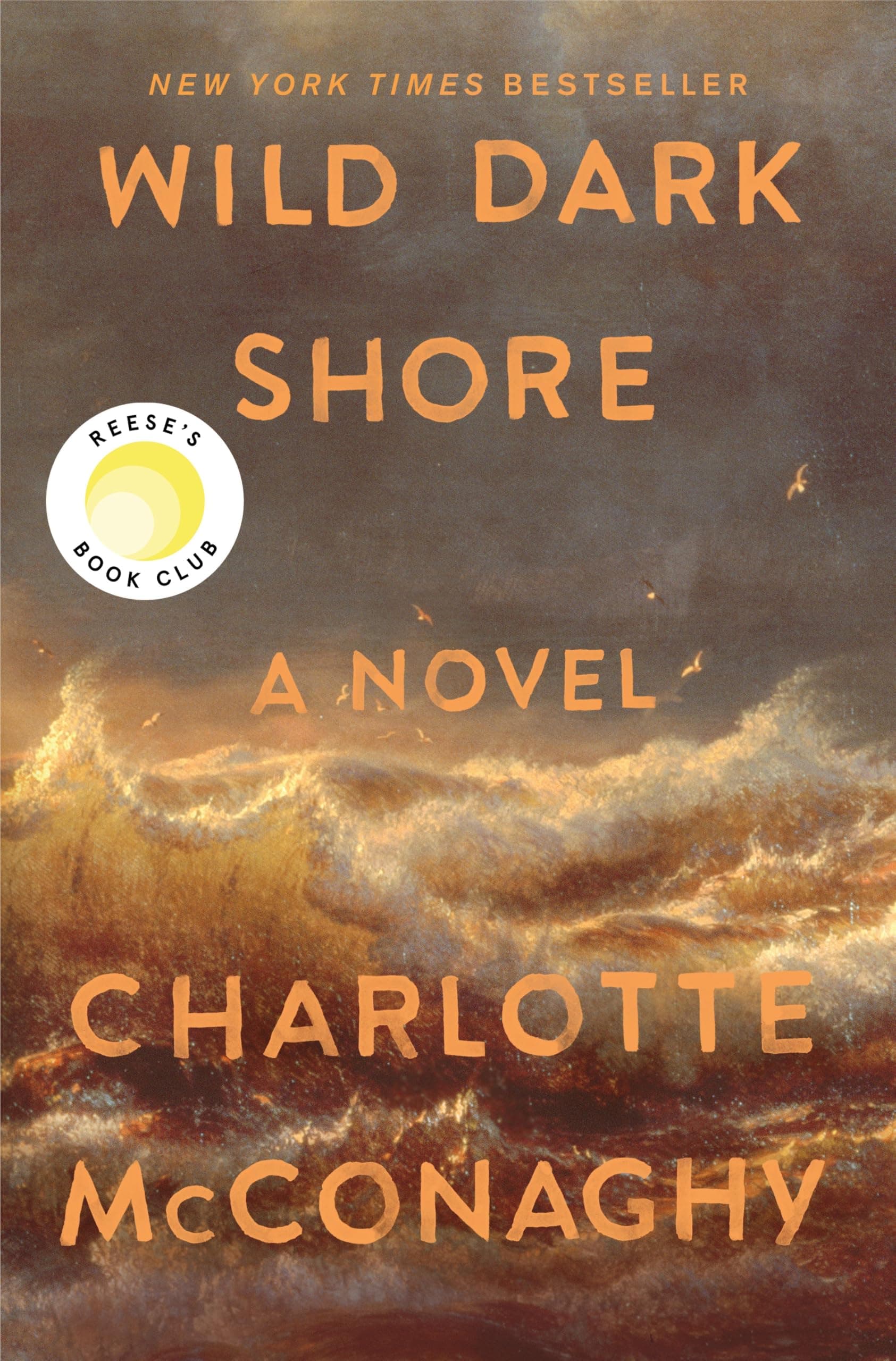 Wild Dark Shore cover