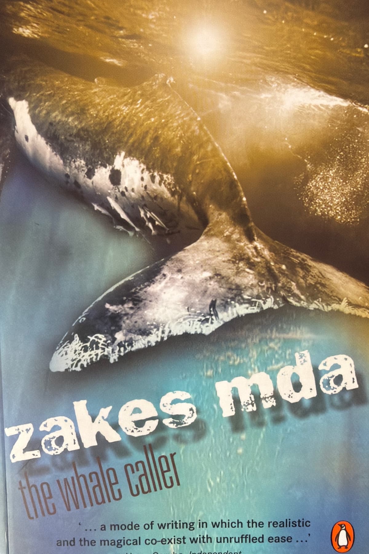 The whale caller cover